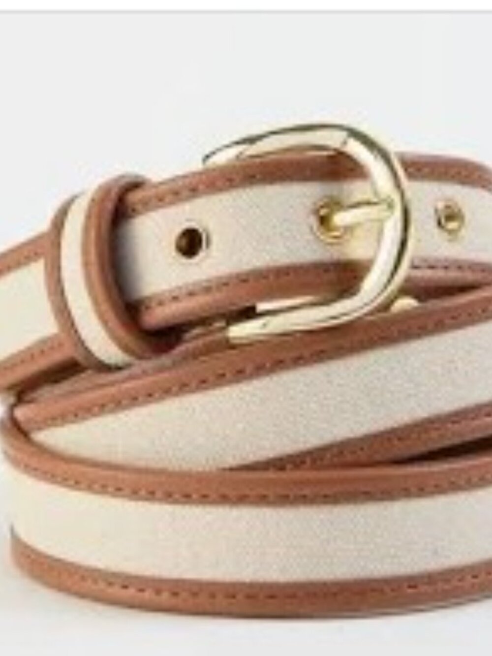 J. Jill Brown and Cream Leather-Trim Belt with Gold Buckle